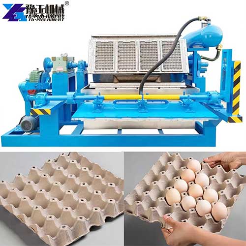 egg tray making machine price