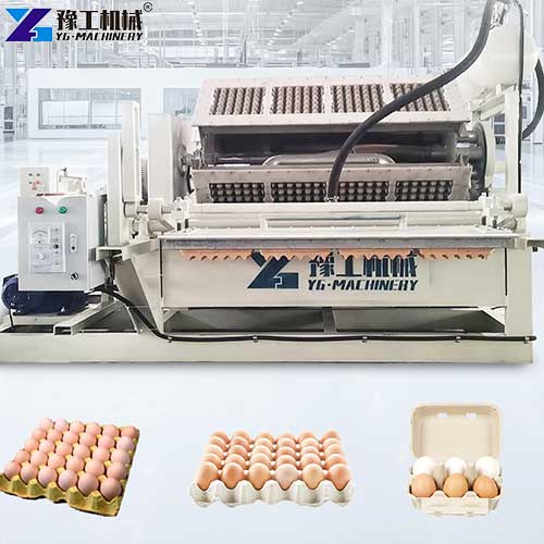 egg tray moulding machine