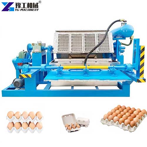 YG egg carton making machine