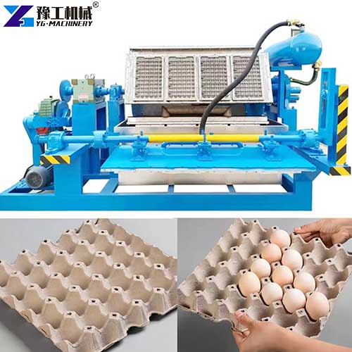 egg carton making machine usage