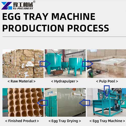 egg tray manufacturing machine production process