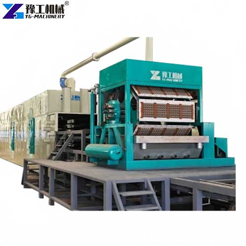egg tray production lines