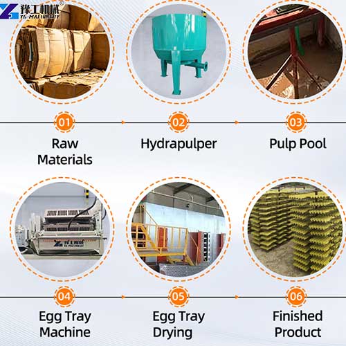 YG egg tray maker machine production process