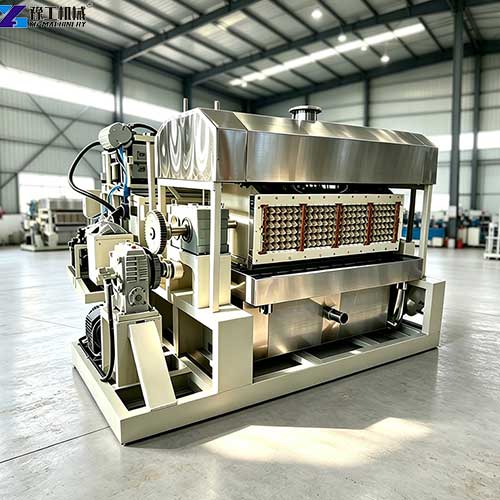 customize egg tray maker machine